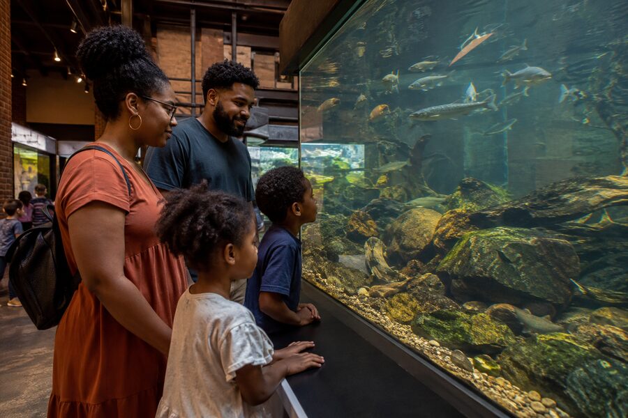 Riverbend Aquarium in Riverside Commons